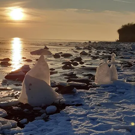 Daire Boettcher Putbus